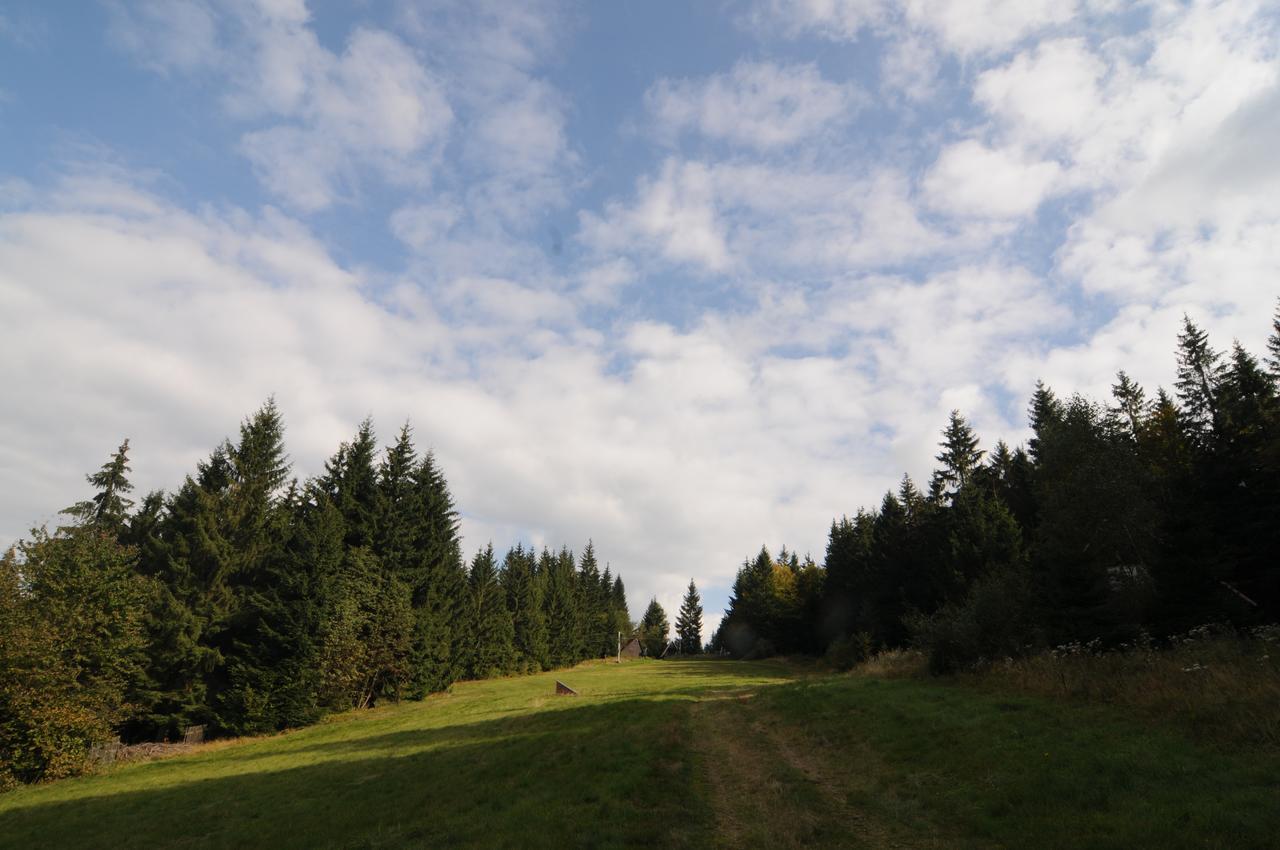 Chata Wostry Bila  Exterior photo